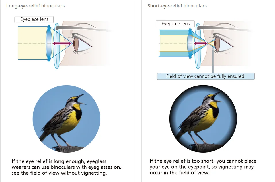 Erklärung des richtigen Augenabstandes (Eye Relief)